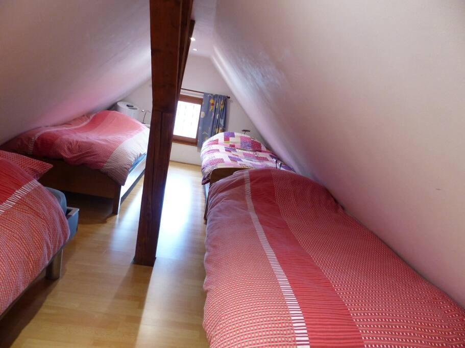 Gite Spacieux Au Coeur De L'Alsace 3*** Sélestat Exteriör bild