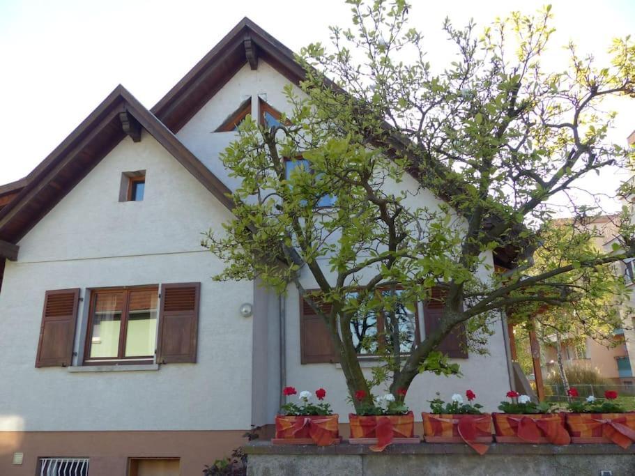 Gite Spacieux Au Coeur De L'Alsace 3*** Sélestat Exteriör bild