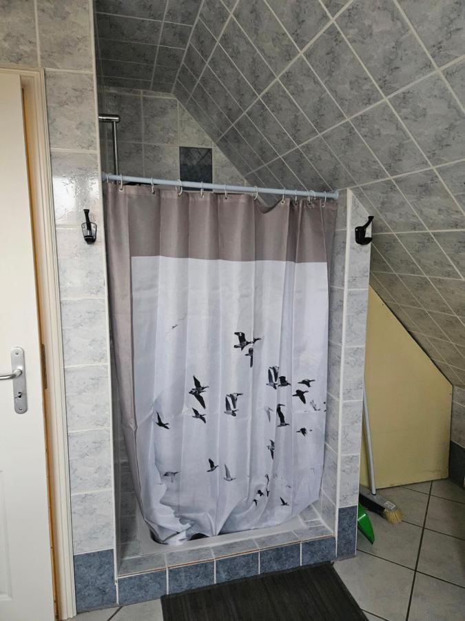 Gite Spacieux Au Coeur De L'Alsace 3*** Sélestat Exteriör bild