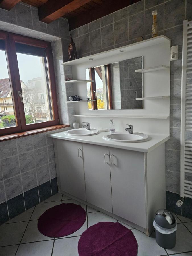 Gite Spacieux Au Coeur De L'Alsace 3*** Sélestat Exteriör bild